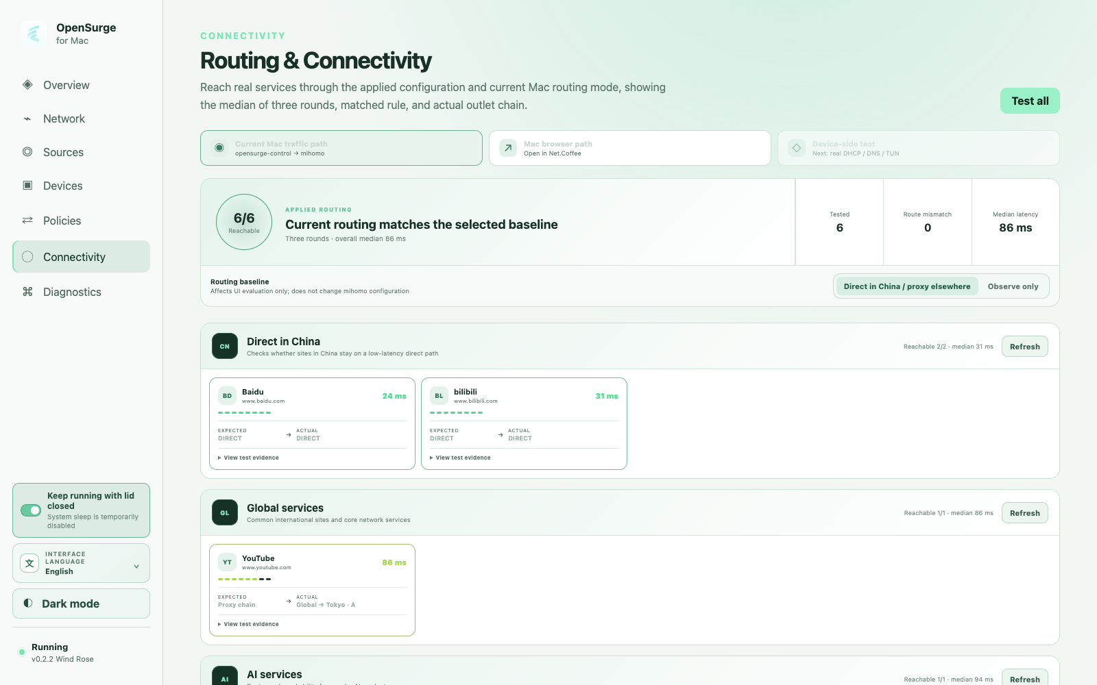 OpenSurge Routing and Connectivity page showing route evidence